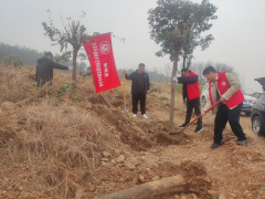 ƽ��ɽ����̬��������ַ־֣���������� ֲ������԰